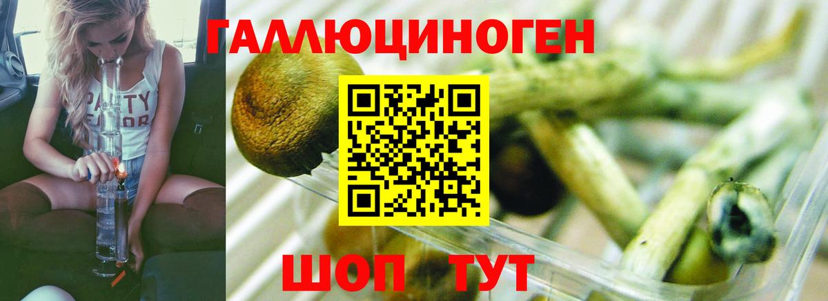 Галлюциногенные грибы GOLDEN TEACHER  Вход с VPN  Богородск 